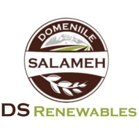 DS Renewables logo - Similar company to Puffin Bird Engineering