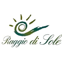 RaggiodiSole logo - Similar company to Arrow Angle