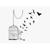 Finally Freee logo - Similar company to Codeladder.Io