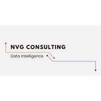 NVG CONSULTING logo - Similar company to Mvg Consulting Services, Inc.