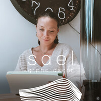 sael graphic designer logo - Similar company to Bi Partner