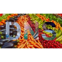 Division Of Nutritional Sciences At Cornell University