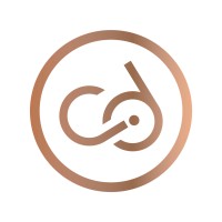 CD Consulting logo - Similar company to Lovett Technology, Llc