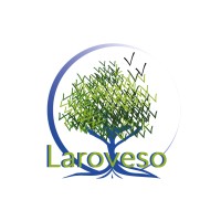 Laroveso logo - Similar company to Maestromobile