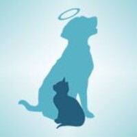 Paws into Grace logo - Similar company to Le Bon Shoppe