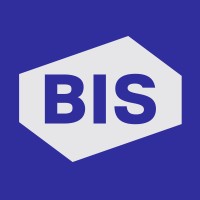 BIS Consult logo - Similar company to Bitface Inc.