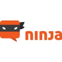 Digital Ninja logo - Similar company to Digital Ninja Consulting