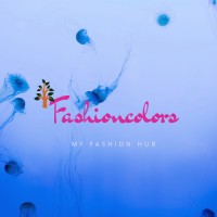 Fashion-colors logo - Similar company to Cuir Fashion