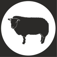 Black Sheep Genealogy logo - Similar company to Digital Immunity