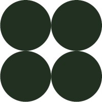 Capguard Asset Management AS logo - Similar company to Vidda Solutions As