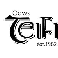 Caws Teifi Cheese logo - Similar company to Halloumi Egypt