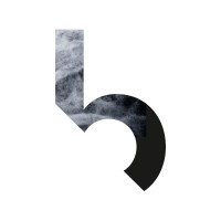 BrandPace logo - Similar company to Sinee Gmbh