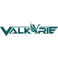 VALKYRIE SOLAR SOLUTIONS logo - Similar company to Valkyrie Import-Export