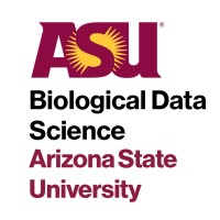 Arizona State University Biological Data Science MS Program logo - Similar company to Newfields Project, Construction & Commissioning Management Consulting