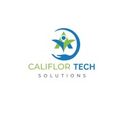Califlor Tech Solutions Pvt Ltd logo - Similar company to Techabes