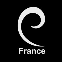 SurgeZirc FR logo - Similar company to Surgezirc