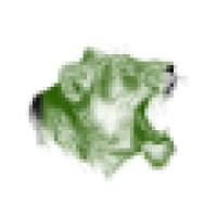 Green Lions
