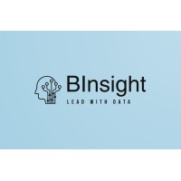 BInsight Academy logo - Similar company to Datastat