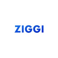 Ziggi logo - Similar company to Itaind Tech