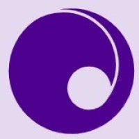 Anylytics logo - Similar company to Analytics In Motion