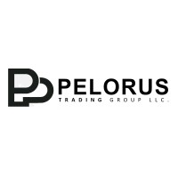 Pelorus Trading Group logo - Similar company to Shoemix.Ro