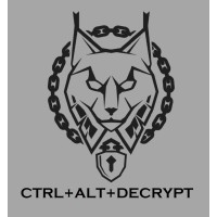 Ctrl Alt Decrypt logo - Similar company to Stellr Group