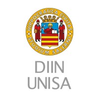 Dipartimento DIIN Unisa logo - Similar company to Gitisa Young