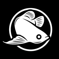 Arowana Capital Limited