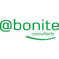 ABONITE CONSULTANTS logo - Similar company to Integrasoft