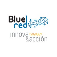 Blue Red logo - Similar company to Go Remote Cloud