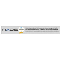 NAOS, S.L. logo - Similar company to Minerva Data Solutions