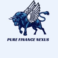 PURE FINANCE NEXUS logo - Similar company to Vision And Elevate