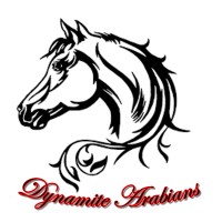 Dynamite Arabians LLC logo - Similar company to Cedarbrook Arabians, Llc