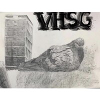 VHSG Accounting Services Ltd logo - Similar company to Clusterbean Technologies