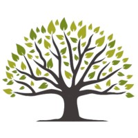 Holmium Capital Pty Ltd