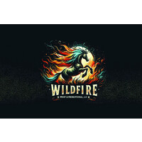 Wildfire Print & Promotional LLC logo - Similar company to Met Manufacturing Group