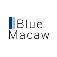 BlueMacaw logo - Similar company to Wtk