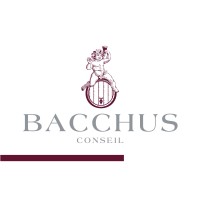 BACCHUS CONSEIL logo - Similar company to Footysan