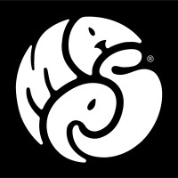 MAES logo - Similar company to Btd.Solutions