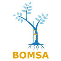 British Orthopaedic Medical Students Association logo - Similar company to Prassa Uk