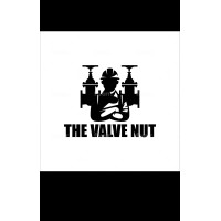 The Valve Nut logo - Similar company to Intelli.Build