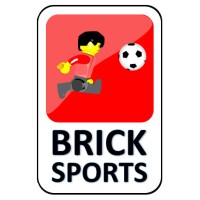 Bricksports logo - Similar company to Gasterra Flames