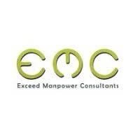 Exceed Manpower Consultants logo - Similar company to Teamployer Talent Solutions