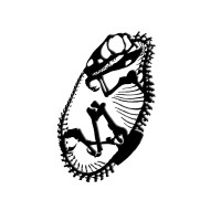 Agency Evolution logo - Similar company to Wingmen Experts