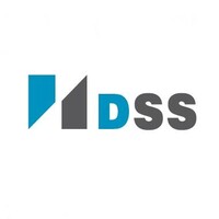 DSS - Desarrollo y Soluciones de Software logo - Similar company to Qentry
