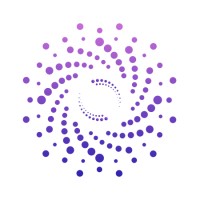 Payroll Insights logo - Similar company to Solve & Excel Consulting