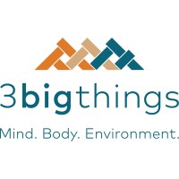 3 Big Things logo - Similar company to The Human Race