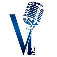 Voice It Studio logo - Similar company to Voice Factory Studio - Multilingual Vo Services