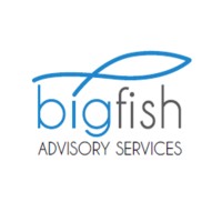 Bigfish Advisory logo - Similar company to Guia