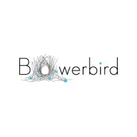 Bowerbird Architects logo - Similar company to Mapos Architects, Dpc